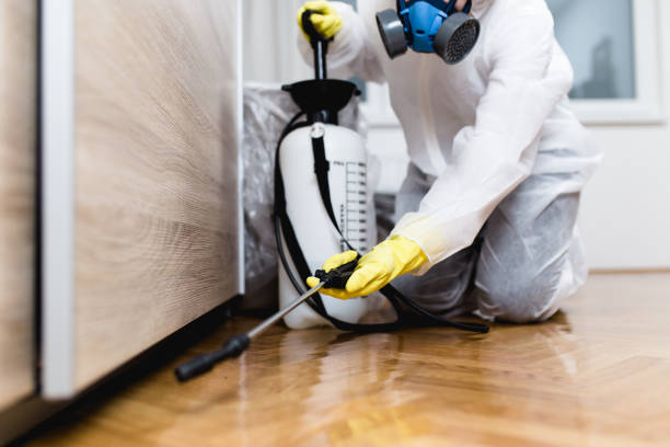 Best Pest Control for Businesses  in New Bedford, MA