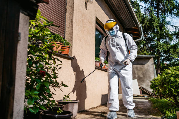 Best Ant Control Services  in New Bedford, MA