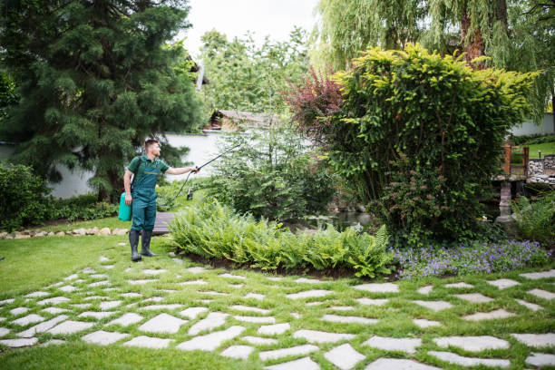 Best Affordable Pest Control Services  in New Bedford, MA
