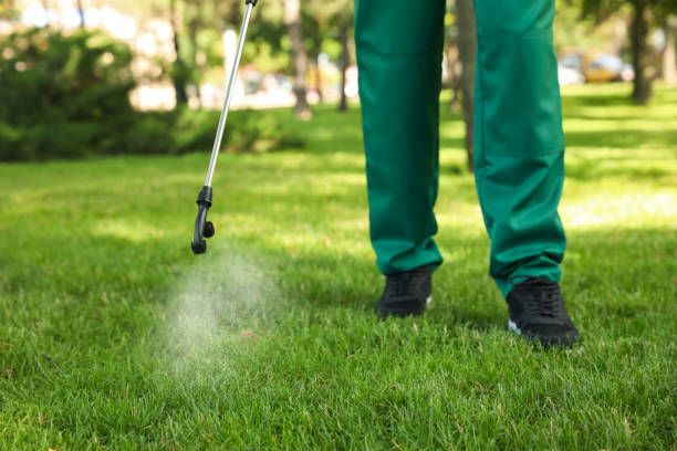 Best Residential Pest Control  in New Bedford, MA