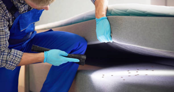Best Commercial Pest Control Services  in New Bedford, MA