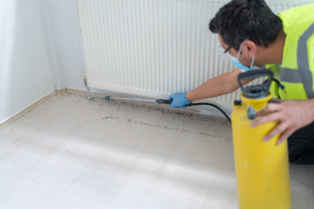 Best Pest Control Cost  in New Bedford, MA